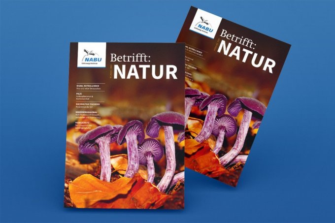 Das NABU-Magazin Betrifft: Natur 
